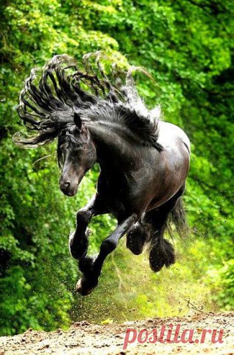 Одноклассники