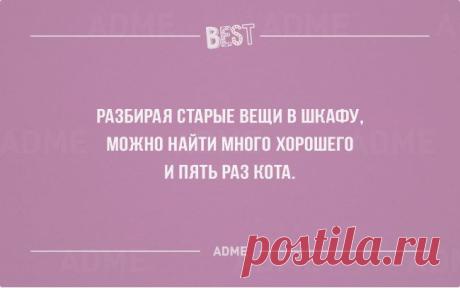 Лучшие открытки года