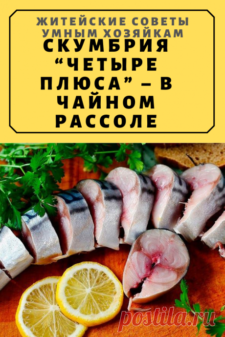 Скумбрия "Четыре плюса" – в чайном рассоле | Житейские Советы