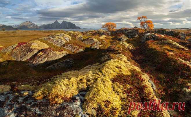 Норвегия Лофотены
Photo by Yury Pustovoy