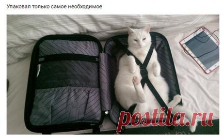 Забавные картинки с надписями со смыслом (11 фото)