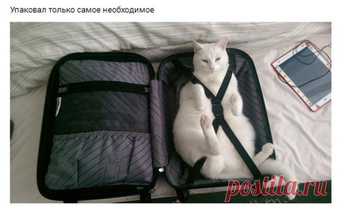 Забавные картинки с надписями со смыслом (11 фото)