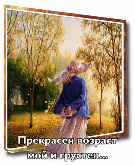 Фото – Google+