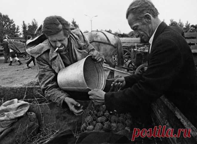 Реализм постсовесткого общества в документальных фотографиях литовского фотографа | Секунда на жизнь | Яндекс Дзен