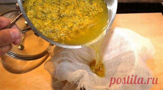 Вот почему наши бабушки обожают ромашковый чай: 15 целебных свойств