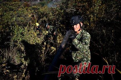 Раскрыто число погибших на Украине колумбийских наемников