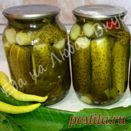 Без заголовка