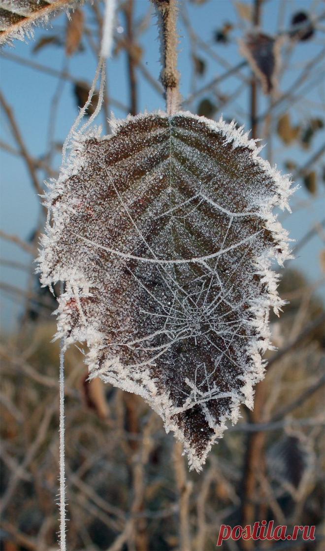 Тверская обл., октябрь 2010 г.