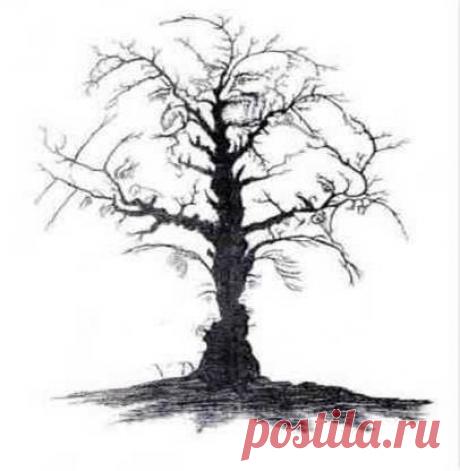 Тест Анти-Альцгеймер (занимательно!) » Женский Мир