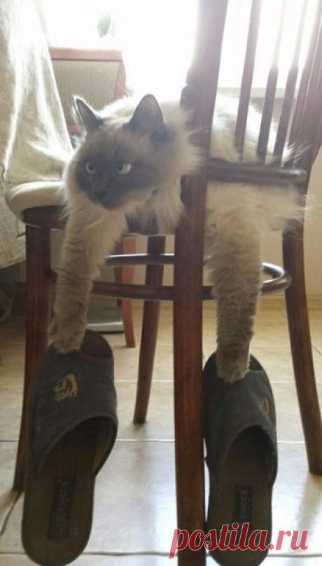 Все свое ношу с собой | Позитив