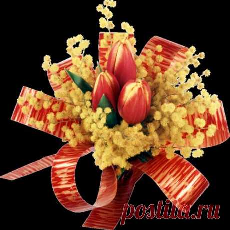 Цветы - до 500х500px - Каталог картинок - Красивые картинки бесплатно