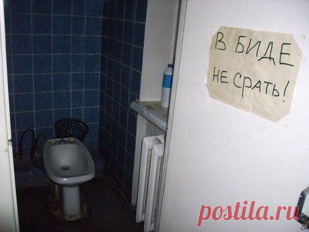 Шедевральные надписи / Писец - приколы интернета