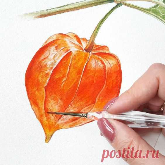 Нина Петровская 🎨 Акварель on Instagram: “Друзья! СЕГОДНЯ ПОСЛЕДНИЙ ДЕНЬ СКИДКИ🙈 на мой курс 