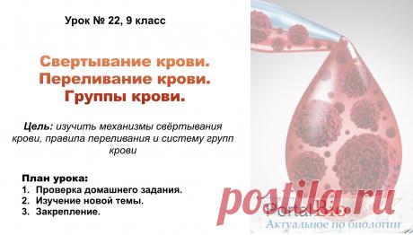 Презентация на тему «Свертывание крови. Переливание крови. Группы крови». | PortalBio