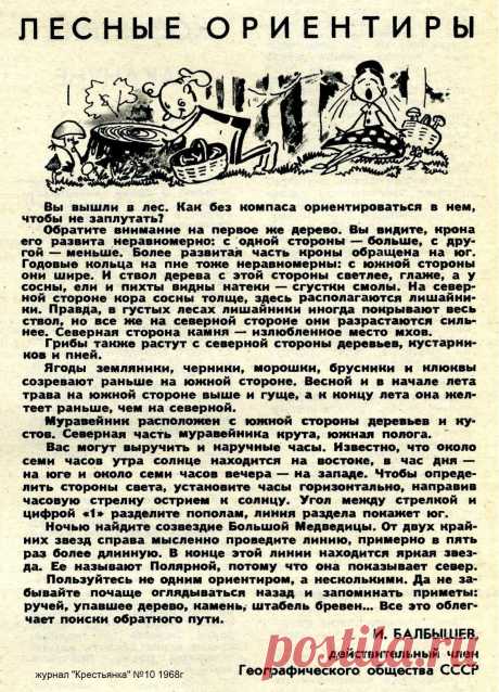 Лесные ориентиры (если заблудился)