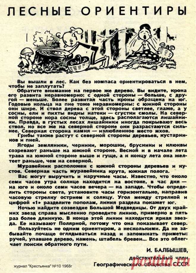 Лесные ориентиры (если заблудился)
