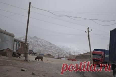 День 32. Знакомство с Китаем. Я был не готов.