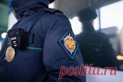 Иностранец попытался вывезти тушу исчезающего медведя в багажнике и попался. В Алтайском крае задержали гражданина Казахстана, пытавшегося вывезти за границу тушу исчезающего бурого медведя в багажнике автомобиля. В отношении него возбудили уголовное дело по части 1 статьи 226.1 («Контрабанда стратегически важных ресурсов») УК РФ. Ведется расследование.