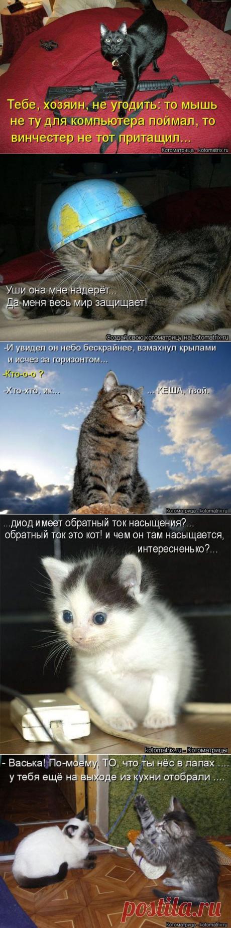Котоматрицы