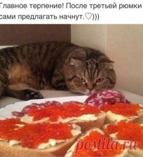 юмор