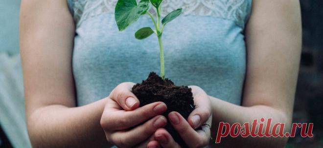 Лунный календарь посадок на 1 - 7 марта 2023 благоприятные и неблагоприятные дни - Омутнинские Вести