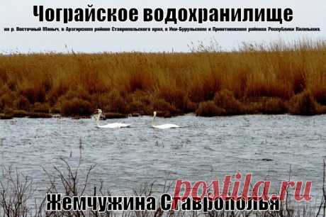 (4) Одноклассники