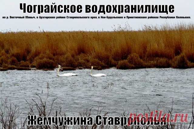 (4) Одноклассники