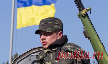 В интернете набирает популярность стих-признание украинского военного | Русская служба новостей