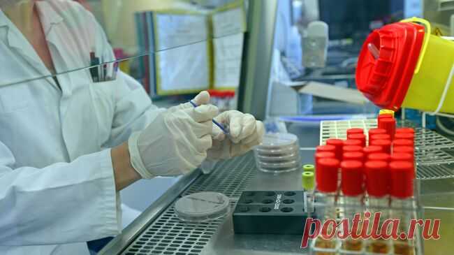 Российские ученые синтезировали новые молекулы для борьбы с оспой