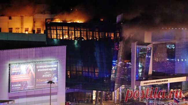 При подготовке к теракту в "Крокусе" использовали восемь банковских счетов