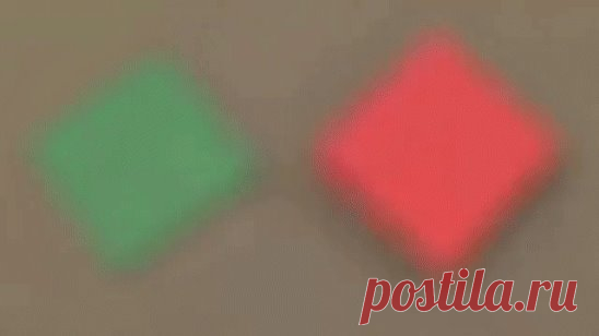 (6) Одноклассники