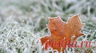 Синоптик Шувалов: трудно ожидать каких-то заморозков в ночные часы. Руководитель прогностического центра «Метео» Александр Шувалов рассказал, что в ближайшее время не стоит ожидать заморозков в ночные часы. Читать далее