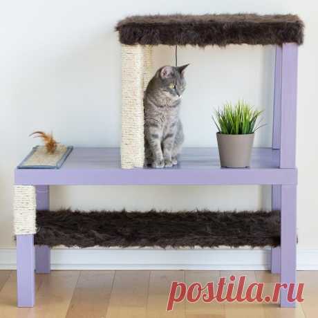 Самодельный «развлекательный комплекс» для кота — Своими руками