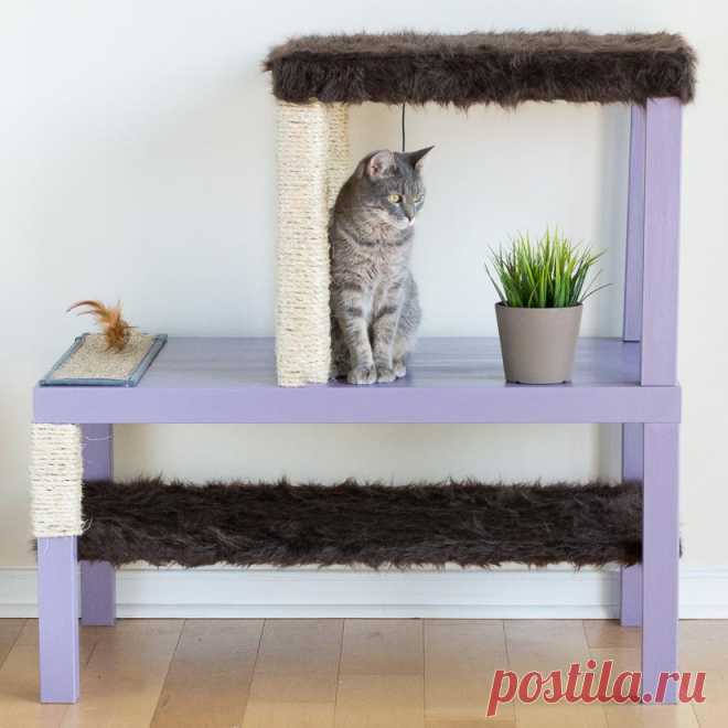 Самодельный «развлекательный комплекс» для кота — Своими руками