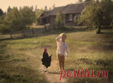 Лето в деревне. Необыкновенно душевные фотографии