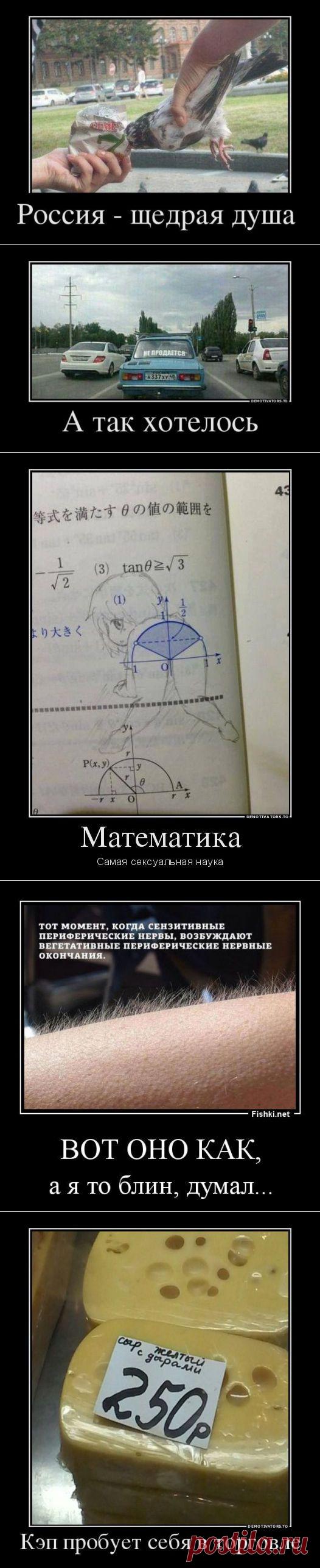 (+1) - Подборка демотиваторов | ПРИКОЛЫ