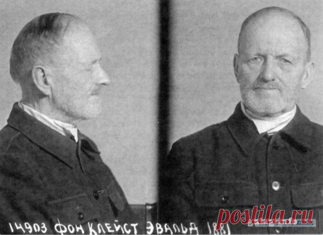 Фельдмаршал Клейст: как сидел в ГУЛАГе самый высокопоставленный пленный немец | SFERA – Pro Историю | Дзен