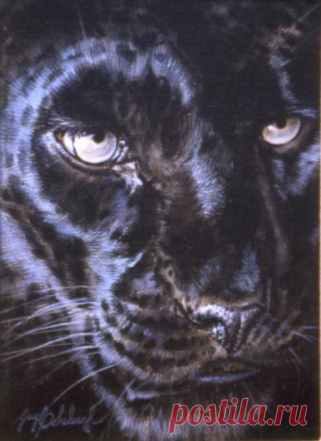 Кошачьи портреты Гая Коэлича - Искусство животных Гая Коэлича