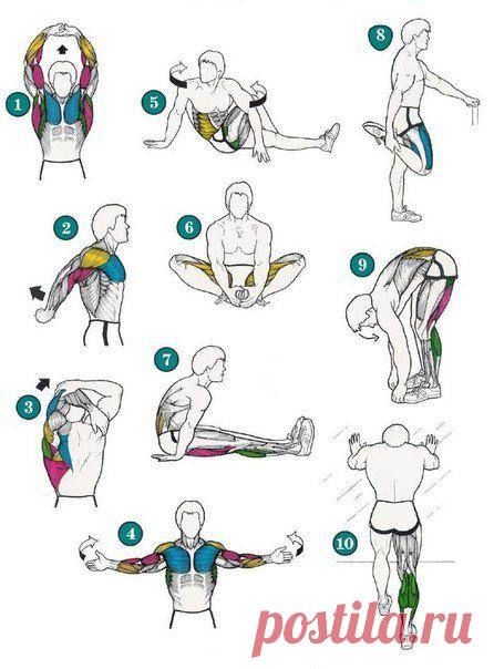 Комплекс упражнений на растяжку / Воркаут как образ жизни