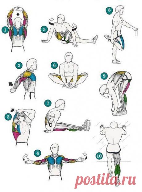 Комплекс упражнений на растяжку / Воркаут как образ жизни