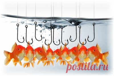 Два главных «крючка» вашего блога!   Ольга Мамина | Старт вашей Новой жизни!