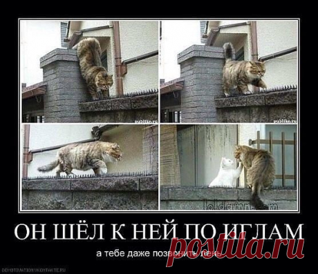 Интересные новости