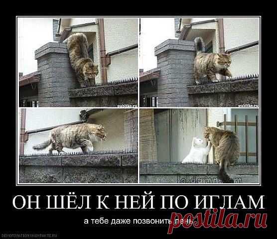 Интересные новости