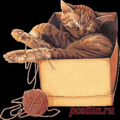 Я- Женщина!