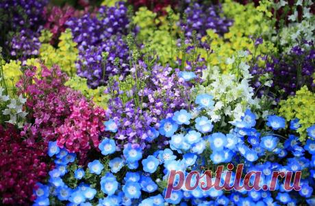 Посевной календарь огородника и садовода на июль 2019🌸 Благоприятные дни для посадок 🌸 - Ladiesvenue.ru