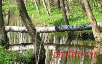 Природа обои. Картинки, фото скачать. Страница 34.