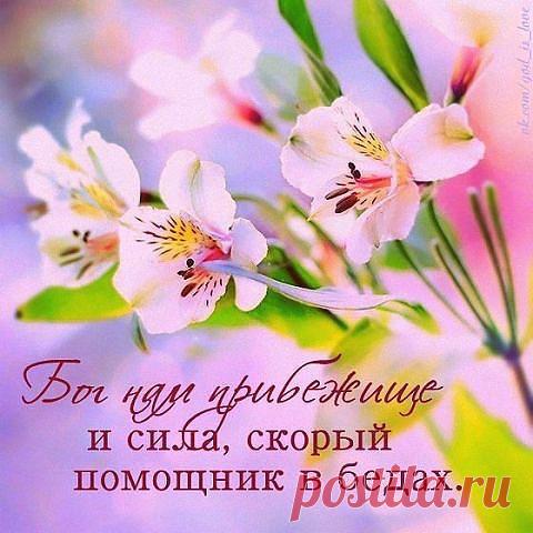 h-976.jpg (480×480)