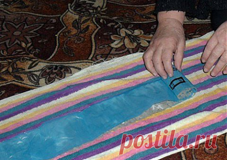 Выращиваем рассаду без земли | Делаем сами