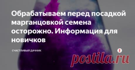 Обрабатываем перед посадкой марганцовкой семена осторожно. Информация для новичков Скоро начинается горячая предпосевная пора. При этом семена некоторых цветов я уже посеяла в январе, и всходы приходится еще досвечивать. Перед посевом семена нужно протравливать. Начинающие огородники часто ищут информацию о препаратах для обеззараживания. Какие препараты для этого можно использовать?
Средства для протравливания
К этим препаратам относят марганцовку, Фитоспорин, перекись водорода
