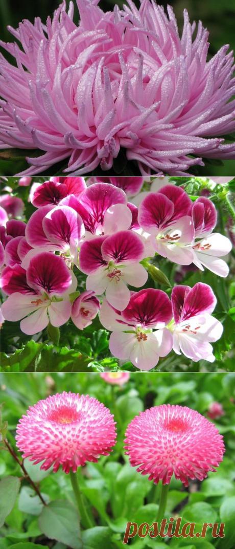 ЯЗЫК И СИМВОЛИКА ЦВЕТОВ. ПРОДОЛЖЕНИЕ.